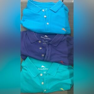 Tommy Bahama mens Polo Trio in Turquoise, Teal & purple L supima cotton